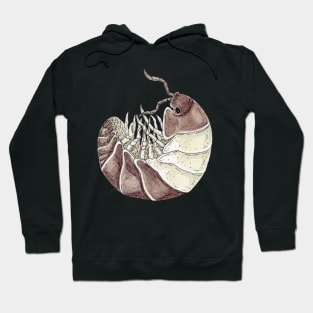 Cubaris sp. "Panda King" Isopod Hoodie